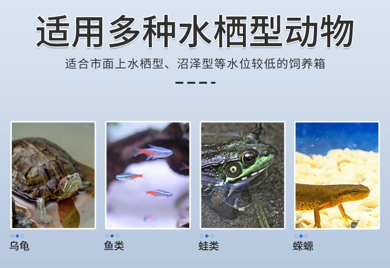 详情页3.jpg