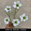 Decoração de Casamento com Flores Brancas, Peônias, Phalaenopsis, Rosas, Arranjos Florais de Teto e Arranjos Florais Pretos para o Salão de Casamento