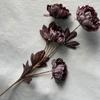 Peonía de cuatro cabezas de la dinastía nacional, decoración de flores falsas, decoración de escritorio de interior, planta en maceta, planta verde, flor artificial, flor de simulación.