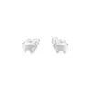 C02013 Aretes de Caballo y Yuanbao de Dinero