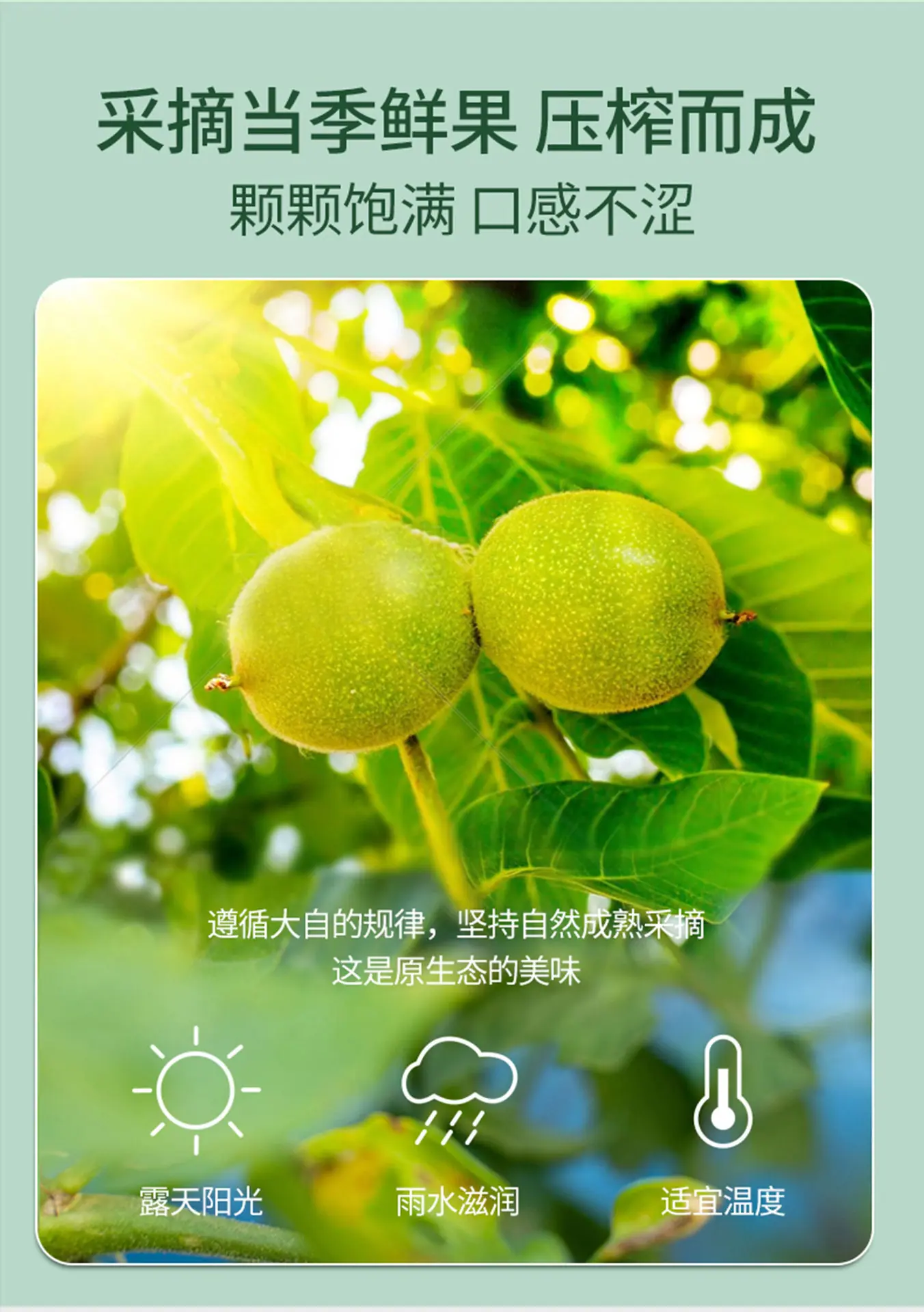 有机核桃油-258ml-详情页_05.jpg