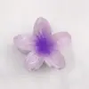 Presilha de Cabelo Flor de Ovo Amazon Transfronteiriça Presilha Bauhinia Nuca Presilha Tubarão de Temperamento Acessórios de Cabelo Atacado