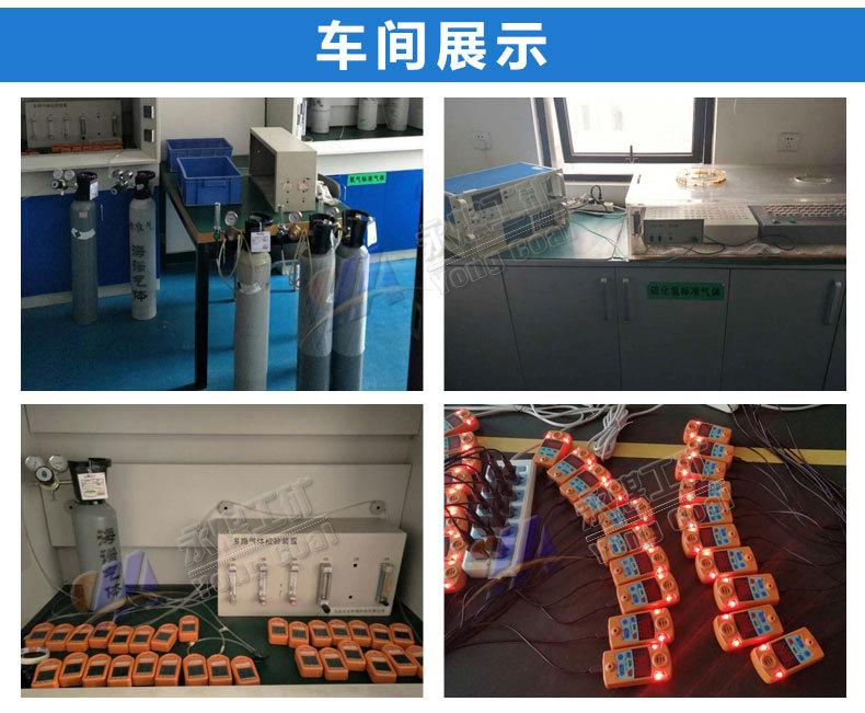 气体检测仪合集_19