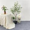 Simulação de estilo nórdico eucalipto planta verde folha grande planta verde simulação decoração escritório simulação horizontal jardinagem planta verde