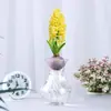 Venta al por mayor de fábrica Bulbos de jacinto Set hidropónico con botella Flores de cultivo en agua de invierno Plantas en maceta resistentes al frío Interior/Exterior