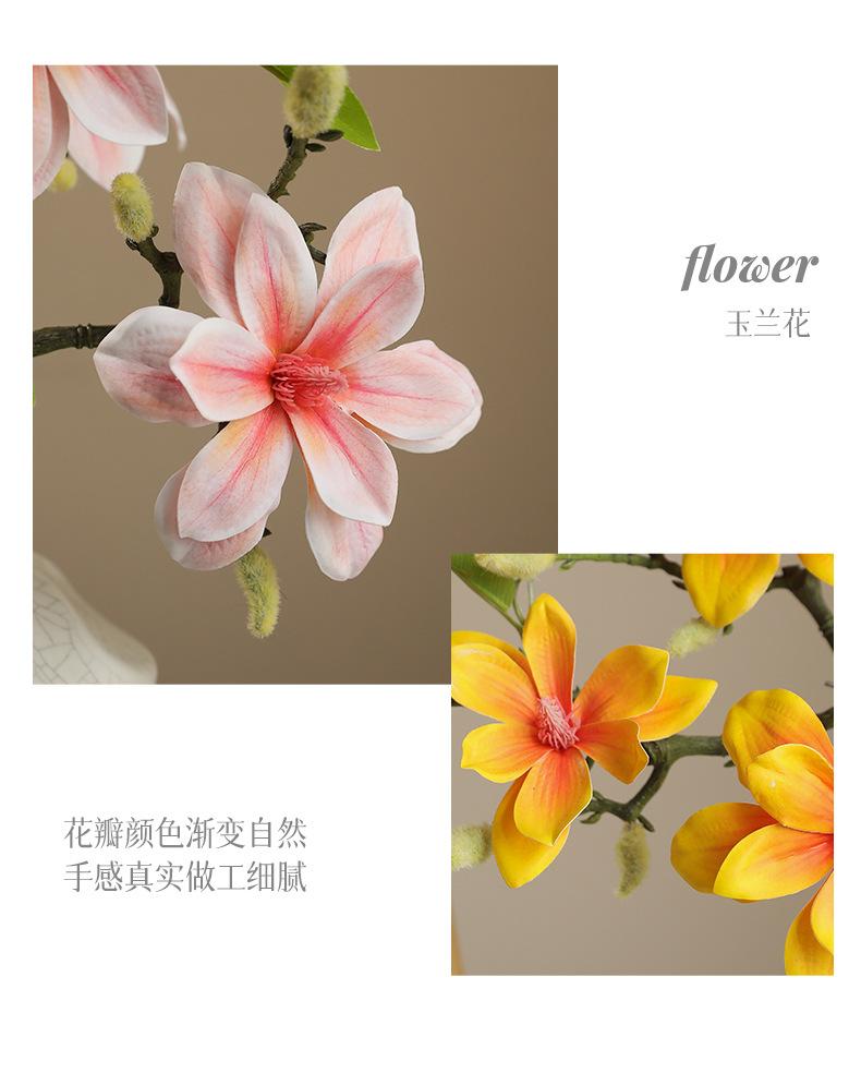 娜拉小西湖玉兰_08.jpg