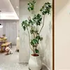 Planta Verde Grande en una Maceta de Madera de Pata de Pato, Adecuada para Sala de Estar y Oficina, Fácil de Cuidar en Todas las Estaciones, También Adecuada para Dormitorio