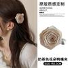 Dry Rose Grab Clip Feminino 2024 Novo High-end Sense Hairpin Back Head Shark Clip High Pondertail Clip