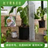 Haste de Musgo Esfagno Womuda Fixação de Planta Trepadeira Monstera Parede de Trepadeira Planta Quente Haste de Trepadeira Epífita Nova Haste de Plataforma de Água
