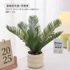 Plantas Verdes, Vasos Pequenos, Árvore da Fortuna Semelhante para Mesas de Escritório Internas, Mesas de Centro de Sala de Estar, Flores Artificiais e Arranjos Florais