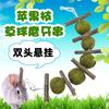 Conejo, cobaya, Totoro, bola de paja, cuerda para muelas, pequeño bocadillo para muelas, suministros para muelas, rama de manzana, bola de paja, cuerda