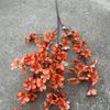 Estilo Pôr do Sol Folhas Laranjas Flores Artificiais de Casamento Pôr do Sol Outono Vermelho Cor Caramelo Decoração de Salão de Casamento Flores Artificiais Atacado