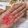 INS Pequeno Livro Vermelho Online Celebridade Nail Art Borboleta Magia Cor Aurora Cor Estéreo Pequeno Laço Nail Art Joias Atacado