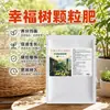Fertilizante Especial para Árbol del Dinero Fertilizante de Liberación Lenta Cuidado de Plantas Verdes y Flores Plantas en Maceta de Interior Compuesto Universal de Nitrógeno Fósforo Potasio Fertilizante para Flores