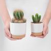 Resina Plástico Ecológico Vaso Pequeno para Flores Vaso Preguiçoso Automático Absorvente de Água Armazenamento de Água Redondo Camada Dupla Suculenta Pothos Planta Verde Vaso de Flores