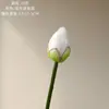 Flores de Loto y Hojas Flores Artificiales Fabricante Flores Falsas Plantas Verdes Decoración de Bodas Manualidades Estilo Ins Venta al por Mayor Transfronteriza