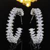 Accesorios Transfronterizos al por Mayor Pendientes de Circonita Pendientes de Nicho de Gama Alta con Sentido de Diseño Estilo Exagerado Xiaohongshu E6484