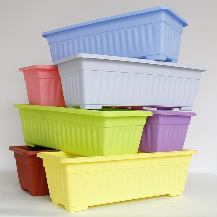 11646235925_2036285011