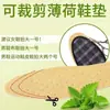 Plantillas Transpirables Desechables de Menta para Verano, Unisex, Absorbentes de Sudor, Anti-Olor, Aroma Fresco, Cómodas y Frescas, Adecuadas para Zapatos Deportivos