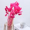 Novo Buquê de Flores Secas de Capim Rabo de Coelho Decoração para Casa Arranjo de Flores Ornamento Capim Rabo de Raposa Decoração Criativa para Casa