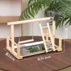 Suporte para Papagaio Du Laohan Plataforma de Madeira Maciça Suporte para Brincar Brinquedo para Papagaio Calopsita Anel de Balanço Conjunto de Escada de Escalada