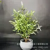 Árbol de olivo artificial planta verde bonsái planta grande árbol falso en maceta adornos de decoración de interior de suelo nórdico