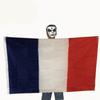 Fábrica Fuente Venta al por Mayor Tela de Poliéster Estampado Serigráfico Ventilador Bandera Copa Europea 90*150cm Bandera Francesa Mástil