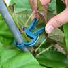 Conjunto de clipes de jardinagem, clipes de andorinha, clipes de jardim, clipes fixos para plantas de tomate, conjunto de clipes de plástico, fonte de atacado