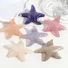 Horquilla Creativa de Moda Transfronteriza con Gradiente de Estrella de Mar Oceánica para la Parte Posterior de la Cabeza, Dulce Horquilla de Tiburón Horquilla Accesorios para el Cabello al por Mayor