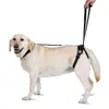 Cinto de Suporte para Patas Traseiras de Pet Mais Vendido da Amazon, Cinto Auxiliar de Escalada para Cães, Corda de Tração Ajustável Atacado