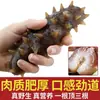 {Fábrica de Dalian} Pepino-do-mar Levemente Seco 50g Secos Atacado Caixa de Presente Selvagem Pepino-do-mar de Liaoning Peça Única Dropshipping E-commerce Pepino-do-mar