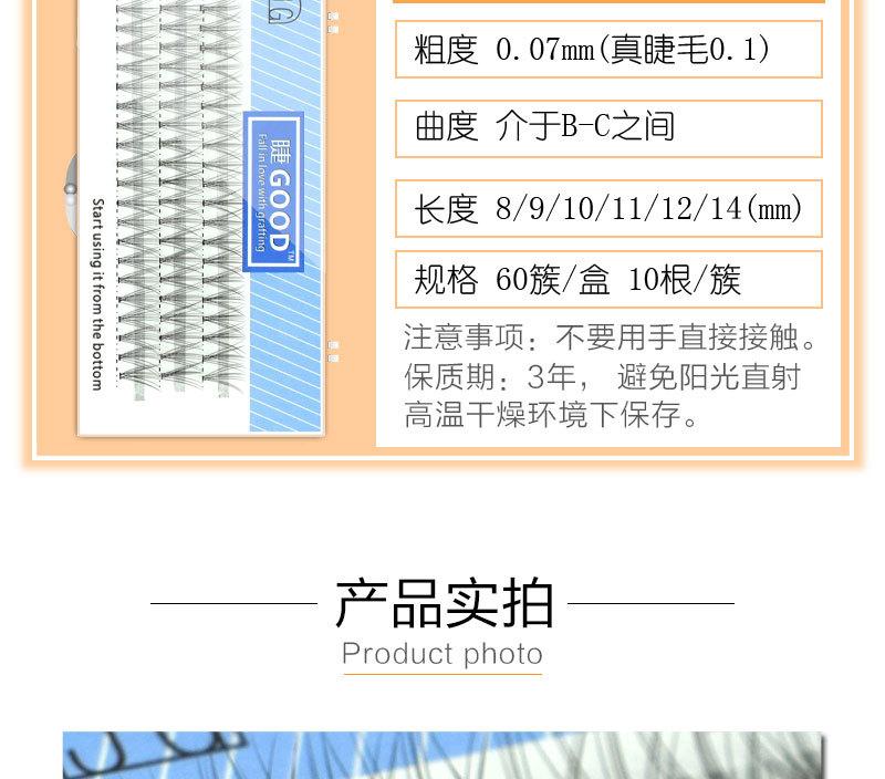 山茶花朵毛-(2)_08