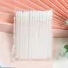 Fábrica Transfronteriza Desechable Mango Hueco Pincel para Labios Flocado Diseño Angulado No Pierde Pelo Pincel para Mousse de Pestañas Fabricante Venta al por Mayor