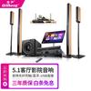 Qisheng D-16 Home Theater 5.1 Set Audio Combinação de Áudio Home Amplificador Subwoofer KTV Sala de Estar Elétrica
