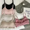 9826 # Sujetador sexy de color liso con cuello redondo y espalda descubierta, ropa interior básica push-up de alta elasticidad, sin restricciones, con almohadillas incorporadas