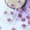 Flor de Hibisco Seca Embosada Especimen Vegetal Flor Real Pegamento Funda de Teléfono Marcapáginas Lámpara de Mesa Embosada Pegatina Decoración Facial
