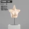 Utilería modelo de ropa interior hombres y mujeres medio cuerpo sujetador recogido ropa interior maniquí de plástico exhibición de escaparate soporte de exhibición modelo