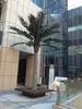 Árbol Simulado Tropical Supermercado Paisajismo Animal Sala de Estar Paisaje Hainan Planta Verde Herramientas Planta Palmera