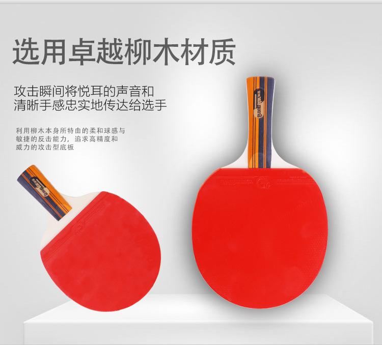 乒乓球拍GS6127_09