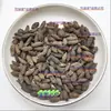 Flor de Lilo Madre Materiales Medicinales Chinos de Uso Común Flor de Lilo Madre, Lengua de Pollo, Lilo Hembra, Cálido y Dispersante del Frío, Materiales Medicinales Chinos, Especias, Carne Estofada