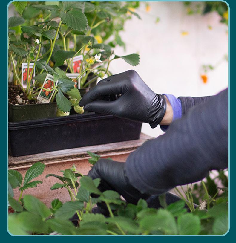 英科医用黑色丁腈_16