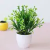 Plantas Artificiales Macetas Plantas Verdes Decoración del Hogar Adornos Pequeños Hierba Estrella de Malla 17 Mini Escritorio Flor Artificial Bonsái