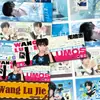 24 Piezas de Marcapáginas Lulu con el Atractivo Celebridad Wang Lujie, Postales de Material Exclusivo