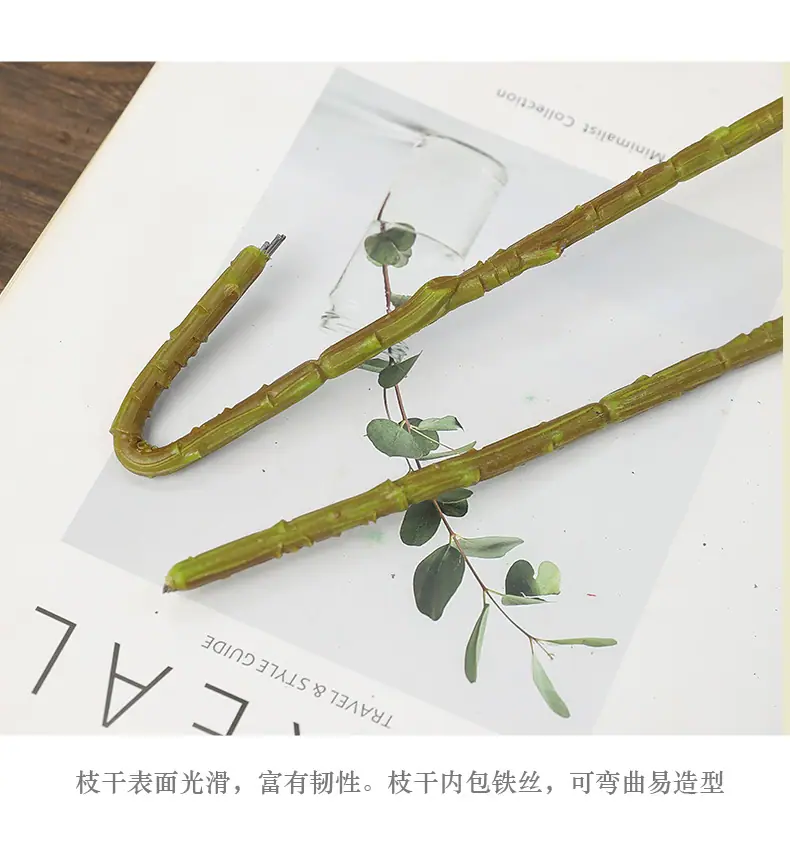 蒂娜单头美人菊_12.jpg