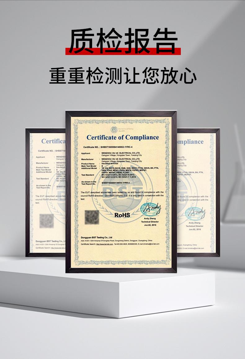 SC窥口铜鼻_13.jpg