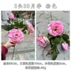 Comércio Exterior Novo Fabricante de Flores Artificiais Rosa Flor de Rosa 3 Cabeças 3D Branca Casamento Casa Decoração Suave Flor Artificial Atacado