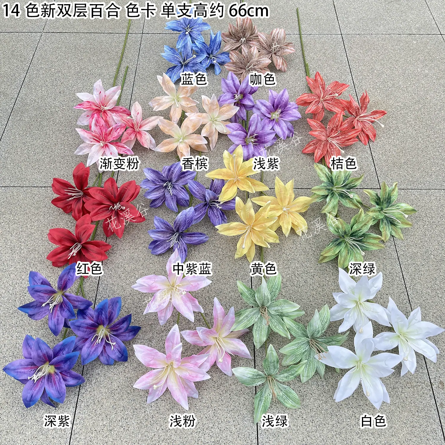 14色新双层百合 色卡 花溪谷.jpg
