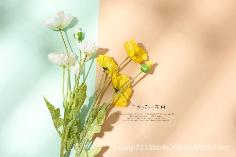 虞美人