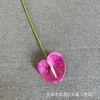 Simulación de planta verde, impresión 3D, anturio, flores de simulación para bodas, floricultura, arreglos escénicos, accesorios fotográficos, vestido suave