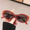 Óculos de Sol Pequenos Ovais com Armação Preta Estilo Europeu e Americano Gatinho Personalizados para Mulheres, Visual de Luxo, Óculos Populares Mais Vendidos, Comércio Exterior, Estilo Coreano